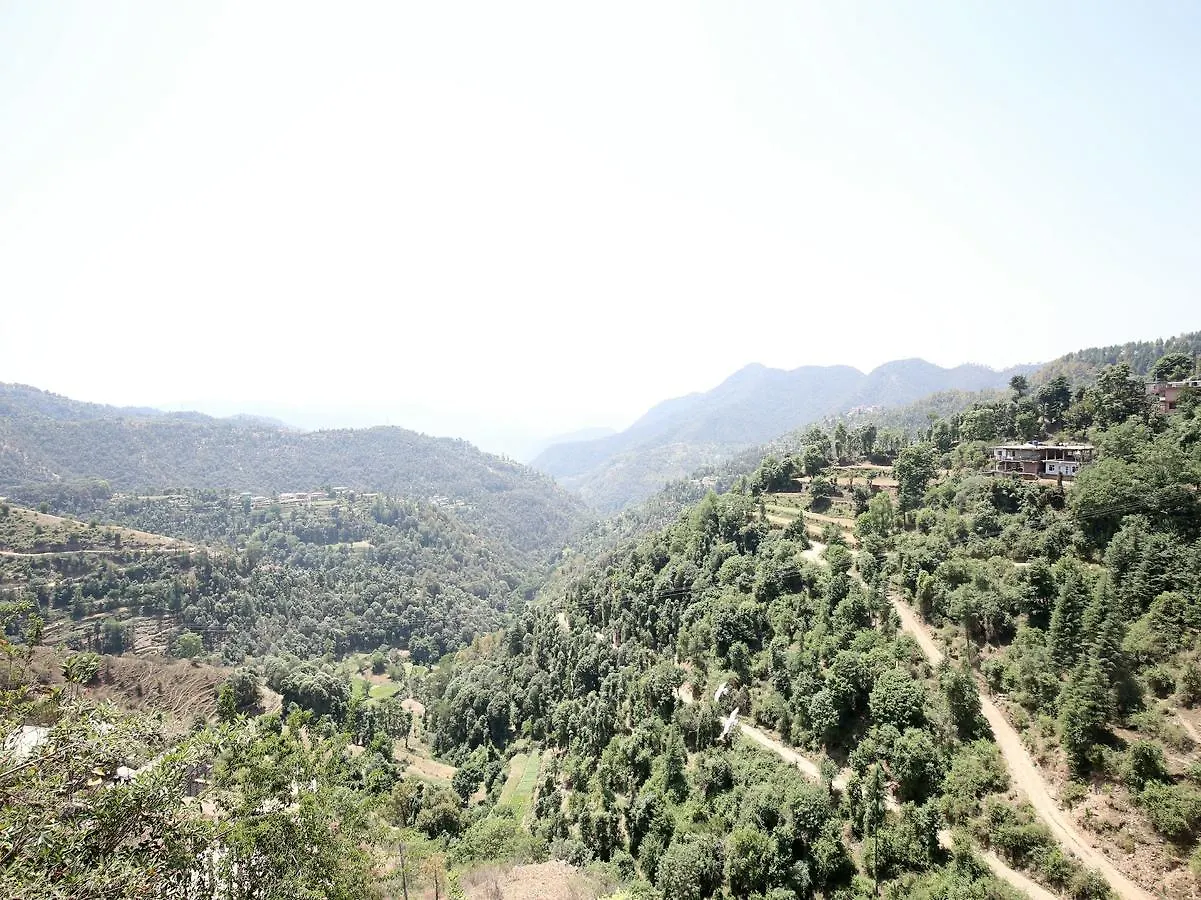 Oyo 14106 Home Exotic Hill View Shoghi Shimla India