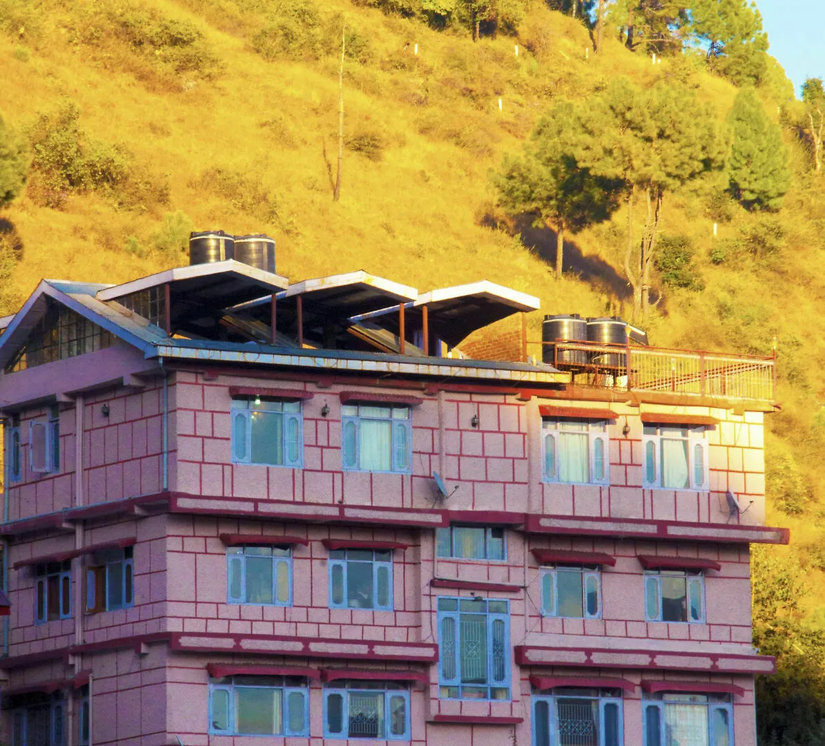 Oyo 14106 Home Exotic Hill View Shoghi Shimla