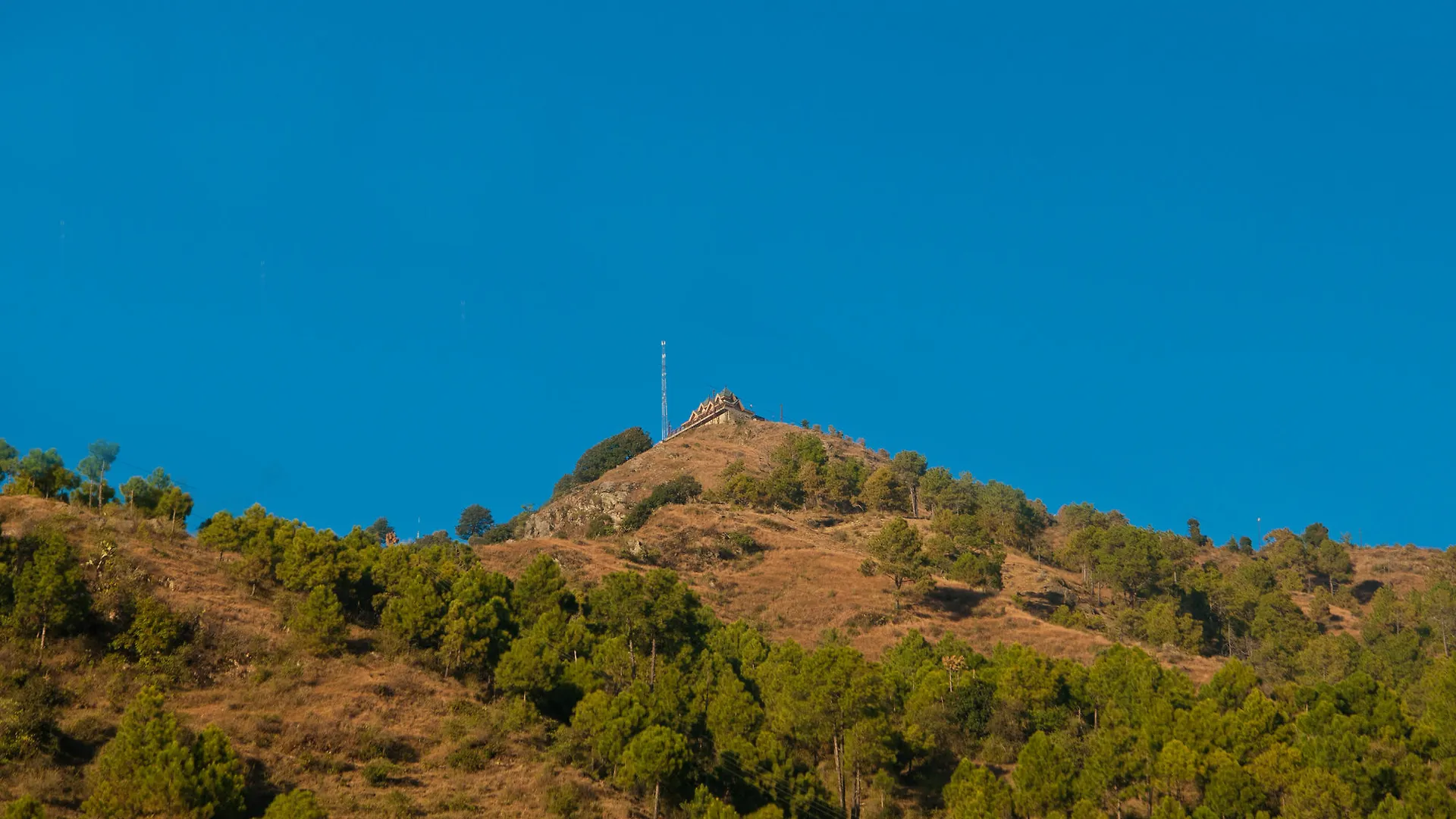 Oyo 14106 Home Exotic Hill View Shoghi Shimla 0*,